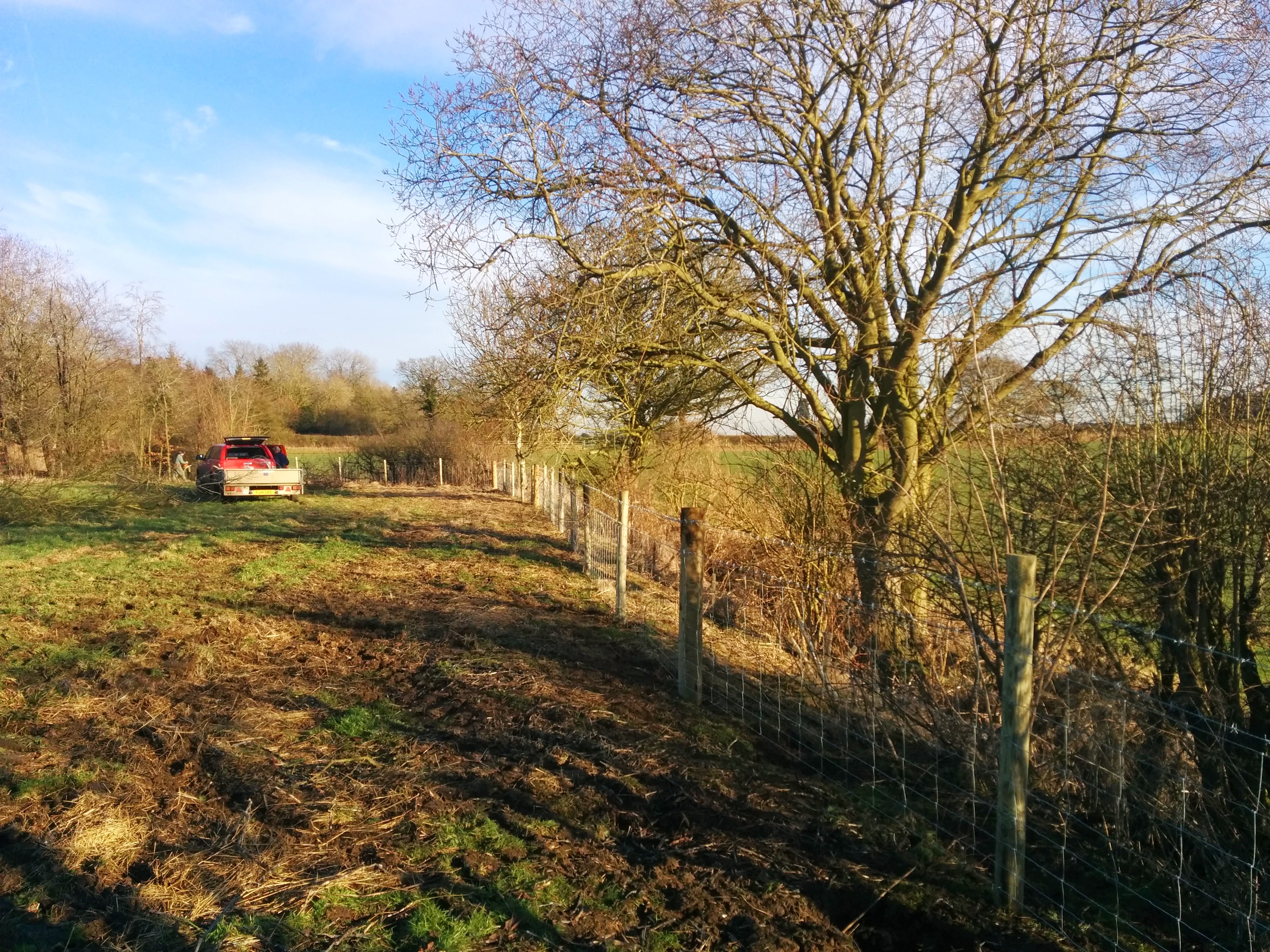 New fencing being put in