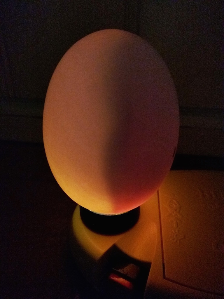 Egg being candled
