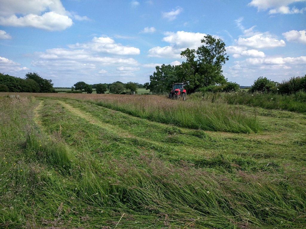 Mowing in progress