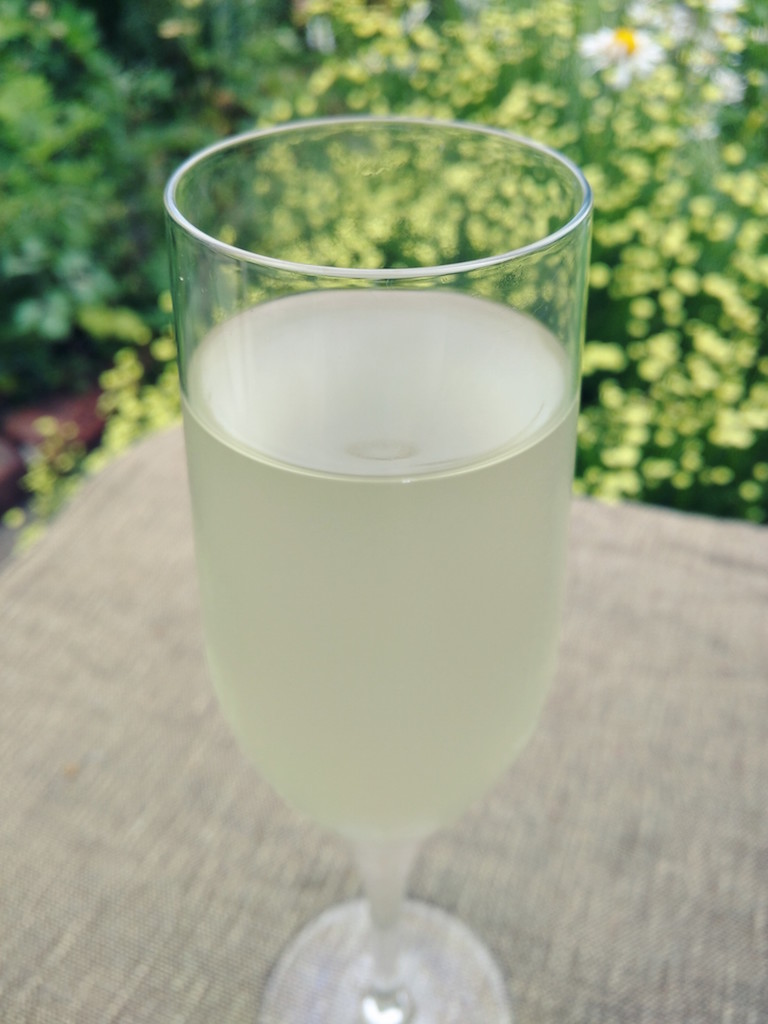 Glass of elderflower champagne