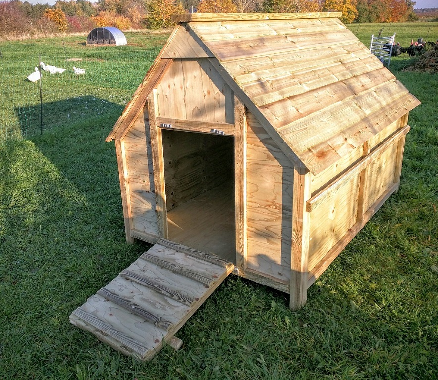 Duck house