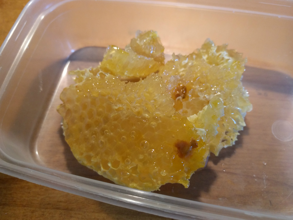 Cut away honeycomb