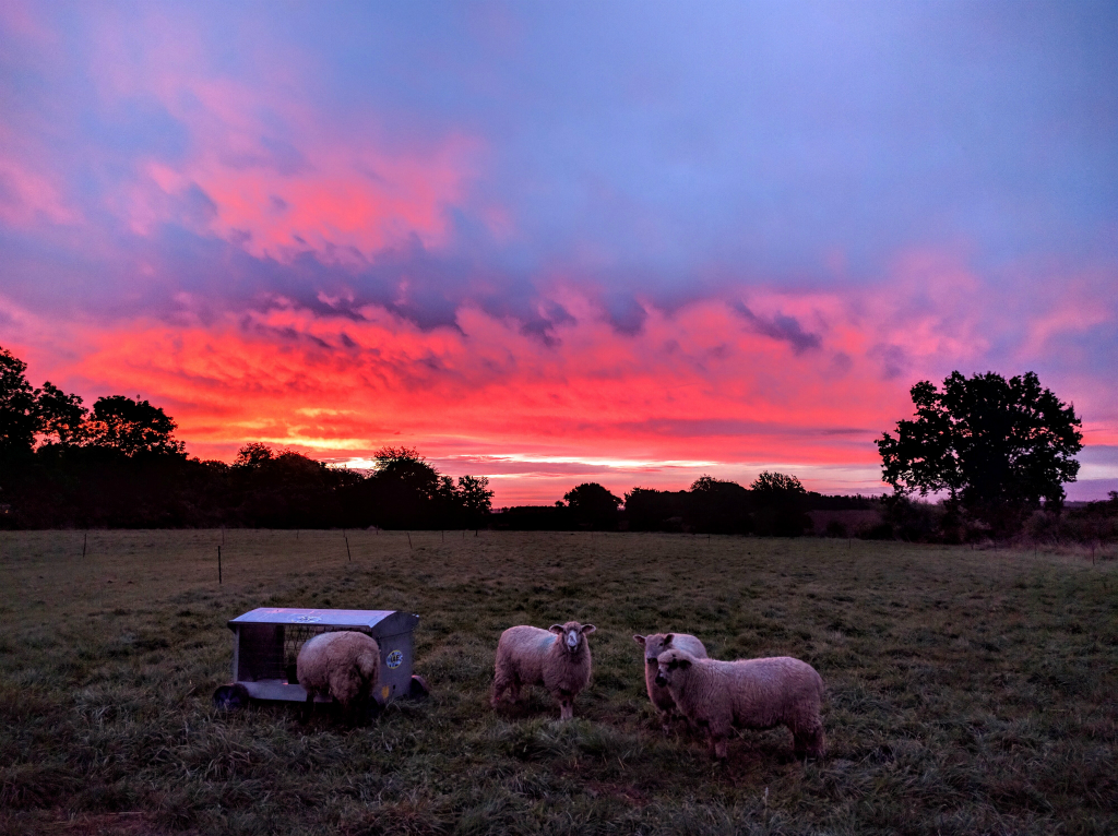 Red sky in the morning