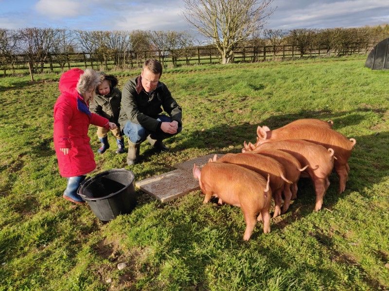 The patter of tiny trotters