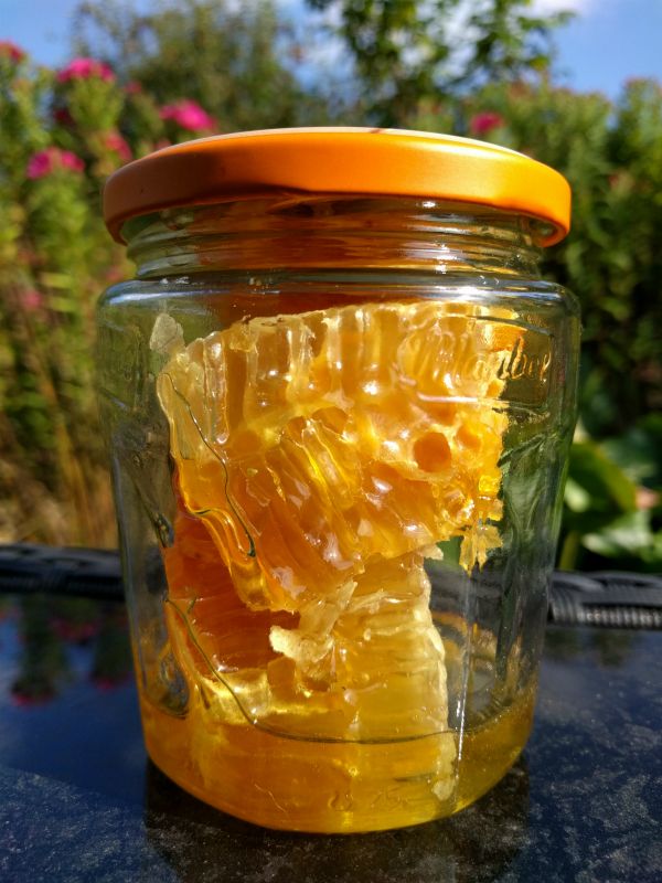 First honey harvest